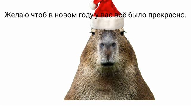 Новогоднее поздравление Капибары. смотреть онлайн