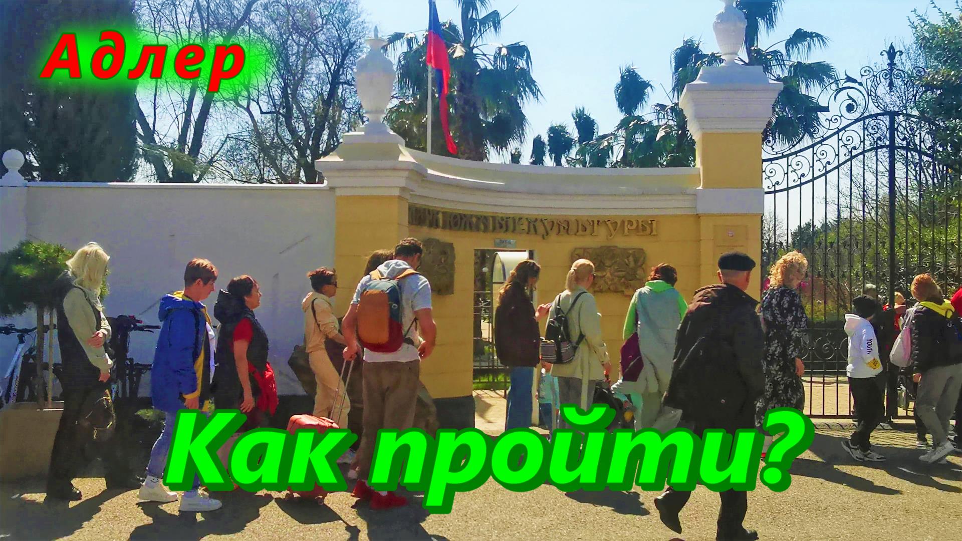 Сочи, Адлер/ Как пройти к парку Южных Культур, где зацвела магнолия смотреть онлайн