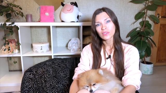 ЗАЧЕМ СОБАКАМ ВСТАВЛЯТЬ ЧИП? смотреть онлайн