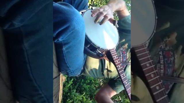Tremolo Banjo Bridge Whammy Bar