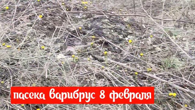 мать и мачеха смотреть онлайн