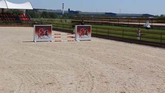 Лузитанский жеребец АЗЕЙТАУ соревнования в КСК"Дивный" смотреть онлайн