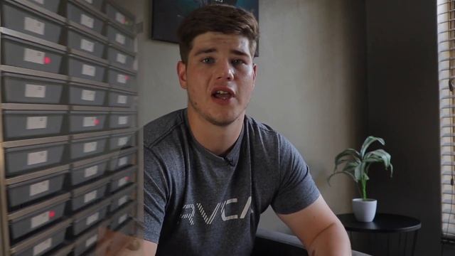 ADVICE TO START YOUR BALL PYTHON COLLECTION! смотреть онлайн