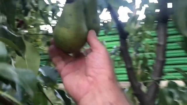 Третье действие: - проверь как выполняется твоё задание.