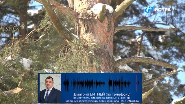 Срубили наши сосенки под самый корешок смотреть онлайн