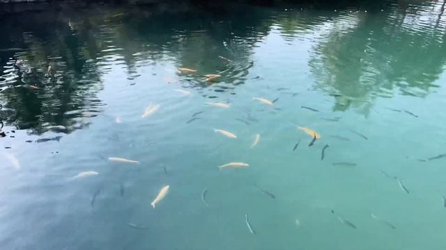 Путешествие в Дагестан | Отдых в Дагестане 2022 (Ева Власова – Дагестан) смотреть онлайн