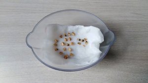 Как просто вырастить розу из семян