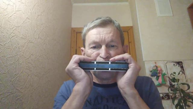 Andante Andante - Lily James - Chromatic Harmonica By M. Hohner смотреть онлайн