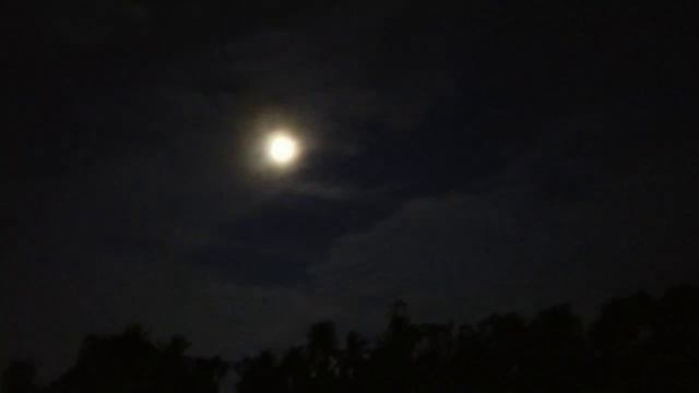 Chuti sesh ar aktu shopping смотреть онлайн