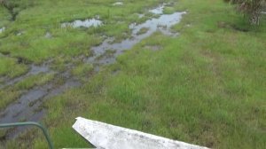 Охота на Аллигатора во Флориде с руссским гидом