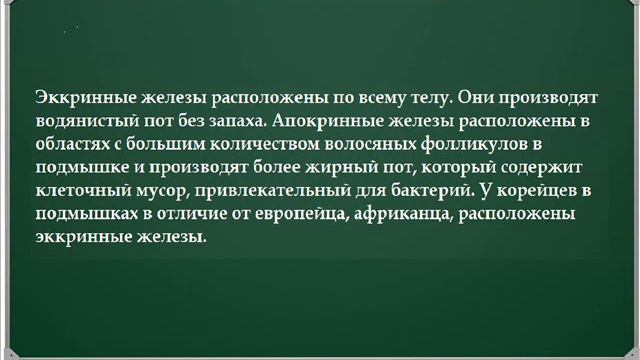 почему корейцы не пахнут потом? смотреть онлайн