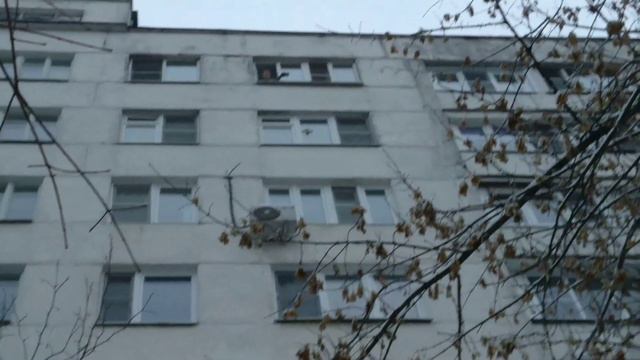 РАЗБИЛИ ОКНО? Кирпичём? смотреть онлайн