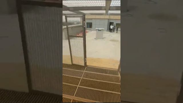 Голубятня за $200 000 GGG Геннадий Головкин. Двухчубые голуби. Tauben. Pigeons. Palomas. Pombos.