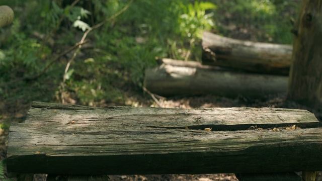 Коптим на "щепочнице" | Небольшая стройка смотреть онлайн