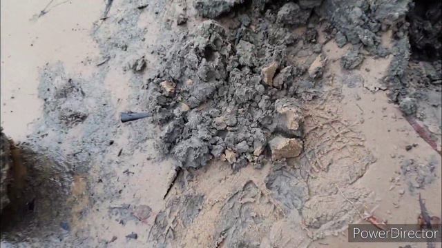 поиск монет по берегу реки часть 2 смотреть онлайн