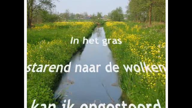 Rob de Nijs ~ De koning te rijk смотреть онлайн