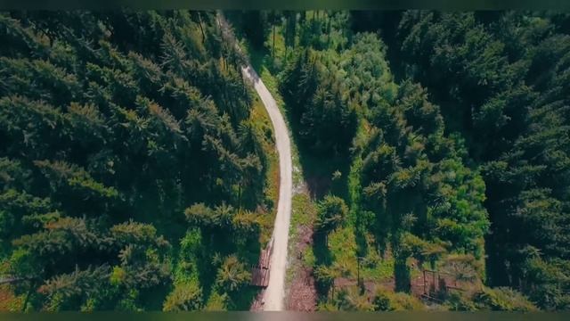 Звуки природы, пение птиц, Звуки Леса смотреть онлайн