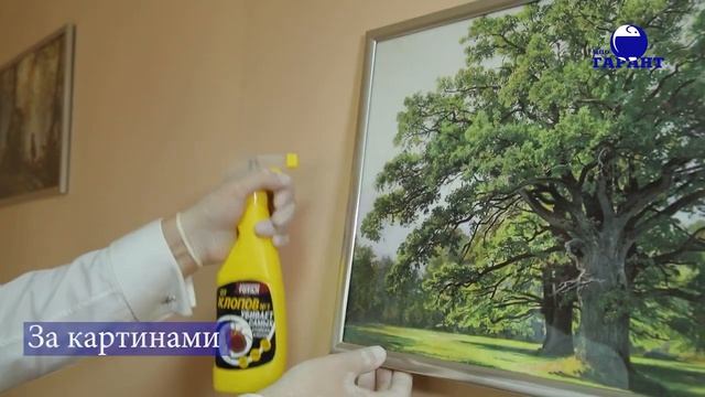 Как самостоятельно избавиться от клопов Эффективное средство от постельных клопов ВИДЕОИНСТРУКЦИЯ смотреть онлайн