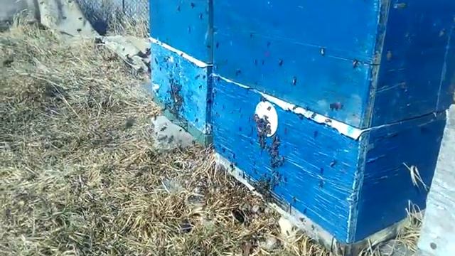 Второй день облёта 19 02 2017 смотреть онлайн