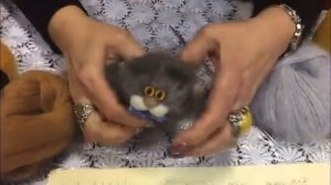 ВЯЖЕМ  КОТИКА  НА  СПИЦАХ ✨✨✨ АМИГУРУМИ --  БЫСТРОЕ  ВЯЗАНИЕ!