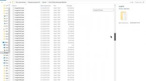 Как поменять язык в игре Call of Duty  Advanced Warfare