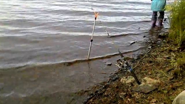 За лещами на Тагильский пруд с детьми 11 06 16 смотреть онлайн