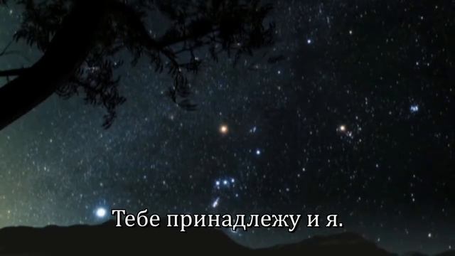 КАРАОКЕ Ты Царь царей смотреть онлайн