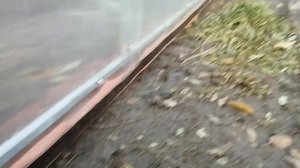 Обработка бруса, закрываю нижний край поликарбоната.