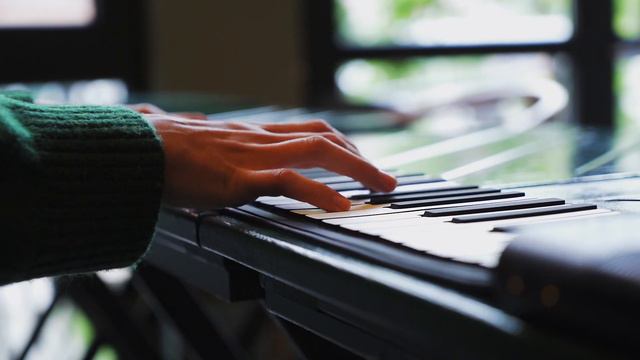 Гибкое пианино SpeedRoll S3088 смотреть онлайн