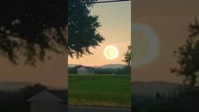 InsanePatient2's Sun Explodes Compilation смотреть онлайн