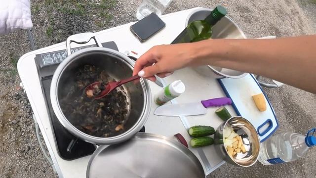 Питаемся на природе. Грибы с картофелем и бататом. #vanlife рецепты смотреть онлайн