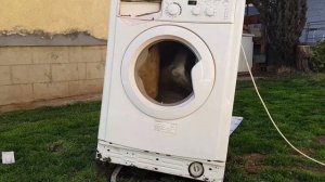 Heavy BRICKS vs Indesit washing machine (OUTLIVES SIEMENS?)