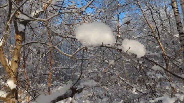 3 Снежные стихи Дмитрия Савельева смотреть онлайн