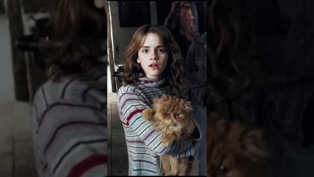 Живоглот - кот мамы Гарри Поттера? смотреть онлайн
