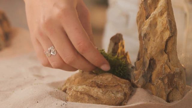 DIY Cute Houses for Cute Pets 🦎🐢 A lizard, an axolotl and a turtle смотреть онлайн