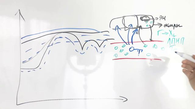 Инсулин. Глюкоза. Инсулинорезистентность.