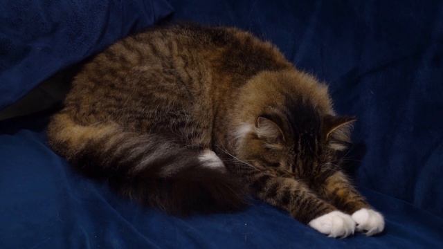 Творческий Путь к Удовлетворению