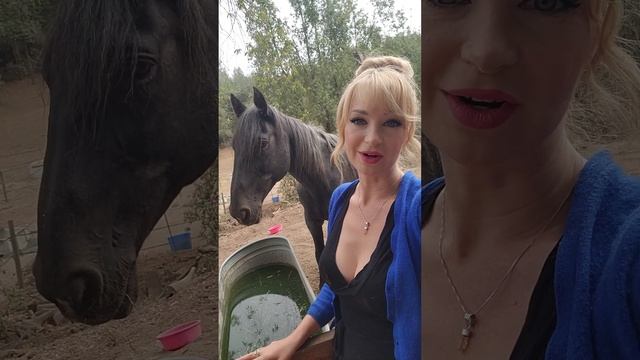 Dainty Rascal With Addicus And Jasmine