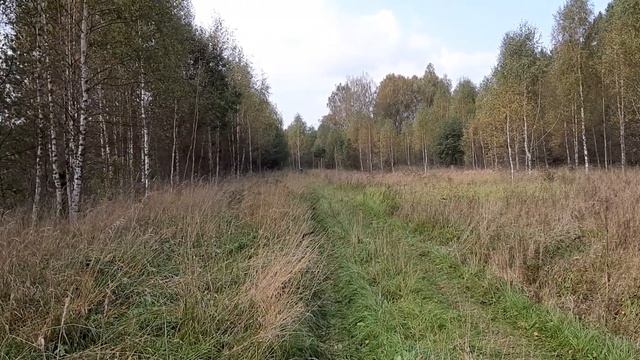 Тест драйв мопеда Альфа 11 с карбюратором PZ22 смотреть онлайн