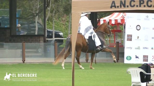 JTA Melchor d смотреть онлайн