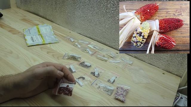 Коллекционные семена для посадки на даче в Подмосковье. Дачный сезон 2021 смотреть онлайн