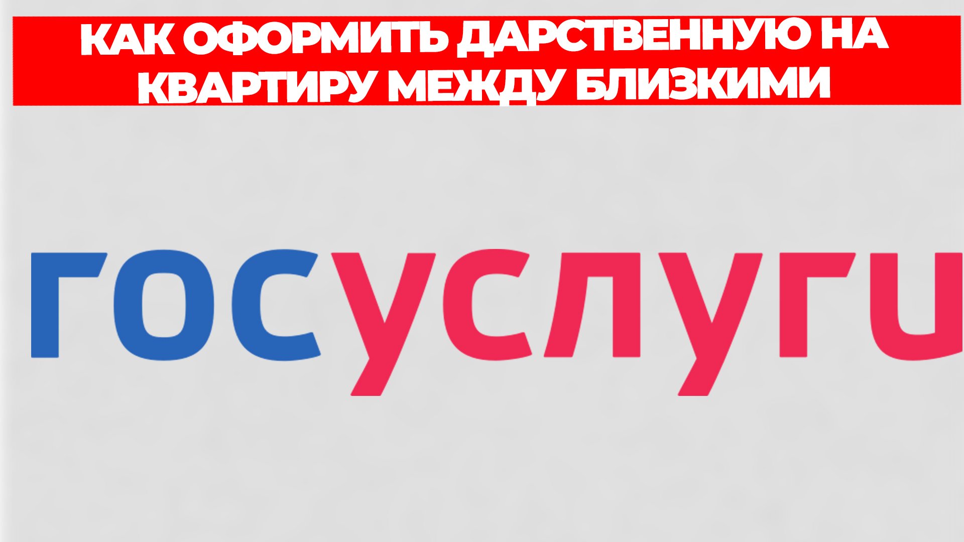 Всезнающий Енот