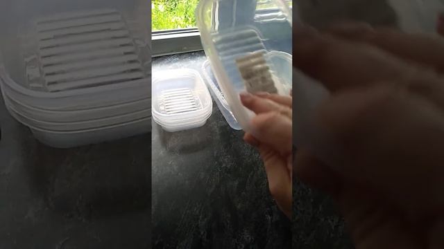 Клубника перетертая с сахаром на зиму. смотреть онлайн