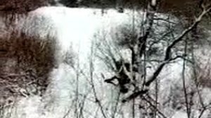 Снегоход Буран с двумя корбами