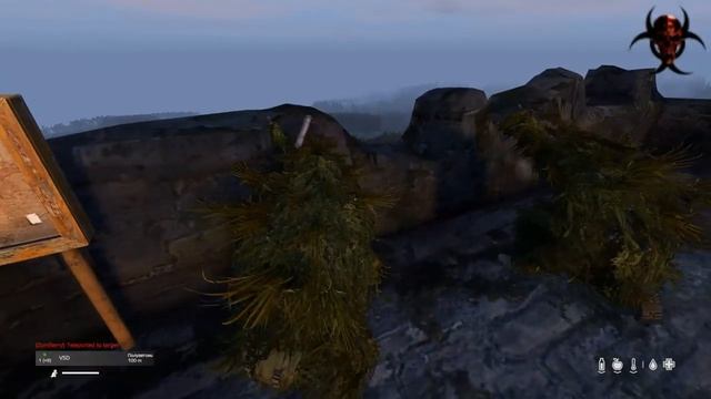 DayZ Standalon ТРЕНИРОВКА СТРЕЛЬБЫ ИЗ СВД 18+ ССВ ПИКЧЕРС
