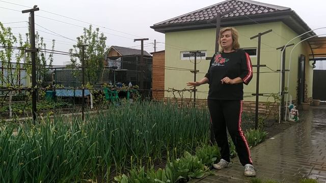 Хотите много чеснока, крупного, ароматного?! смотреть онлайн