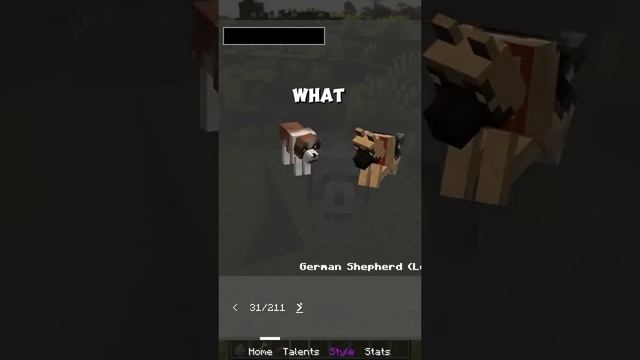 Check out this amazing Better Dogs Mod for MCPE #doggy #dogs #breed #pitbull #husky #buldog #animal смотреть онлайн