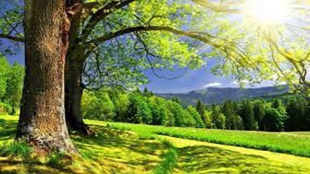 BUENAS NOTICIAS tema de hoy: Abrí tu boca - Mirta Grinberg #3 смотреть онлайн