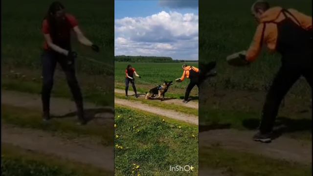  смотреть онлайн