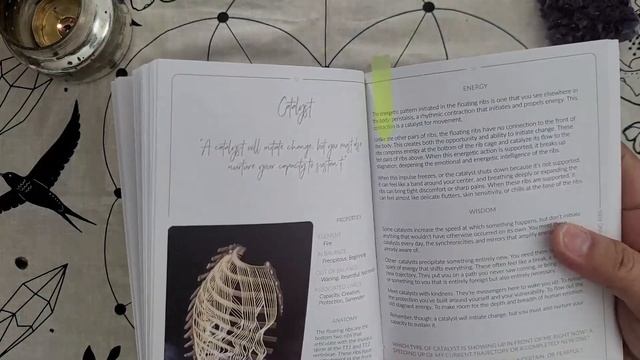 How I work with The Energy Archeology Oracle #theenergyarcheologyoracle смотреть онлайн
